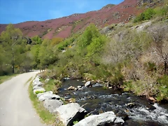 DSCN1043