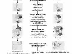 SVB Pediatrico