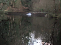 IMG_0545 IMG_0545