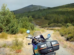 DSCN8653 DSCN8653