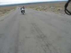 SDC10382 SDC10382