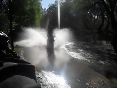 SDC10535 SDC10535