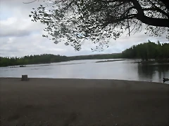 SDC10361 SDC10361
