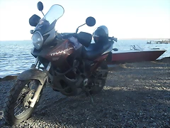 SDC10541 SDC10541