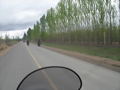 SDC10423 SDC10423