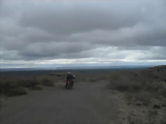 SDC10386 SDC10386