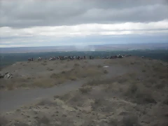 SDC10388 SDC10388