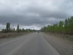 SDC10370 SDC10370