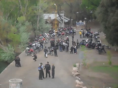 SDC10461 SDC10461