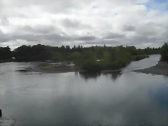 SDC10466 SDC10466