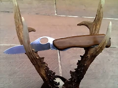 IMAG4448 IMAG4448