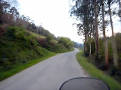 DSCN9655 DSCN9655