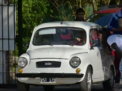 P1190091 P1190091