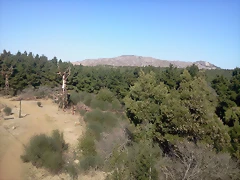 2013-08-18 12.29.34 2013-08-18 12.29.34