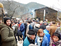 DSCN3239 DSCN3239
