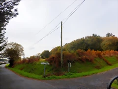 DSCN1167 DSCN1167