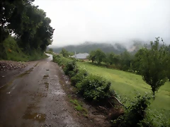 DSCN4811