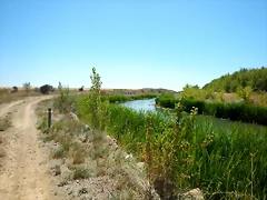 DSCN8173 DSCN8173
