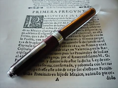 P1030569