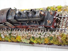 DSC02685 (Medium)