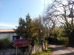 DSCN5025 DSCN5025