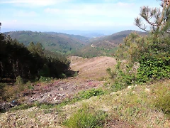 062-Imagen 063 062-Imagen 063