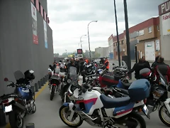 DSCN4508