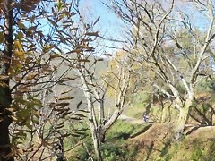 IMG_0135 IMG_0135