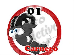 carnero