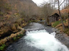 DSCN3964
