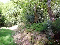 DSCN2091 DSCN2091