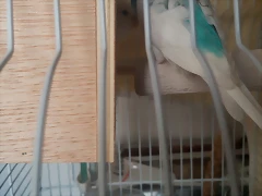 20180803_152132