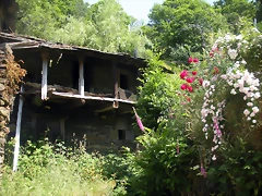 DSCN5751 DSCN5751