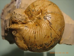 5cm