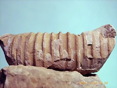 n3