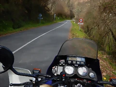 DSCN9115.JPEG DSCN9115.JPEG