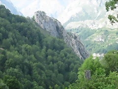 IMG_1506 IMG_1506