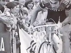 MERCKX  S.CATALANA