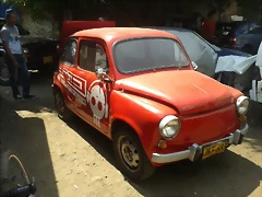 FITO 1