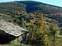 DSCN0095 DSCN0095