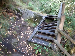 DSCN8437