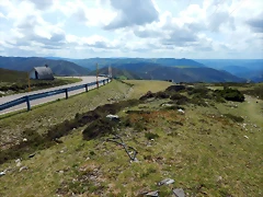 DSCN0740
