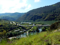 DSCN9383 DSCN9383
