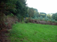DSCN5310 DSCN5310