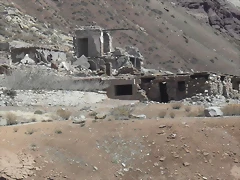 SDC11651 SDC11651