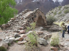 SDC11567 SDC11567