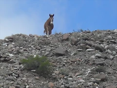 SDC11588 SDC11588