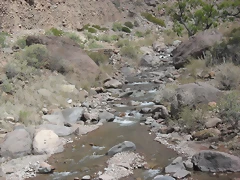 SDC11590 SDC11590