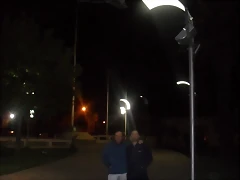 SDC11803 SDC11803