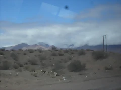 SDC11532 SDC11532